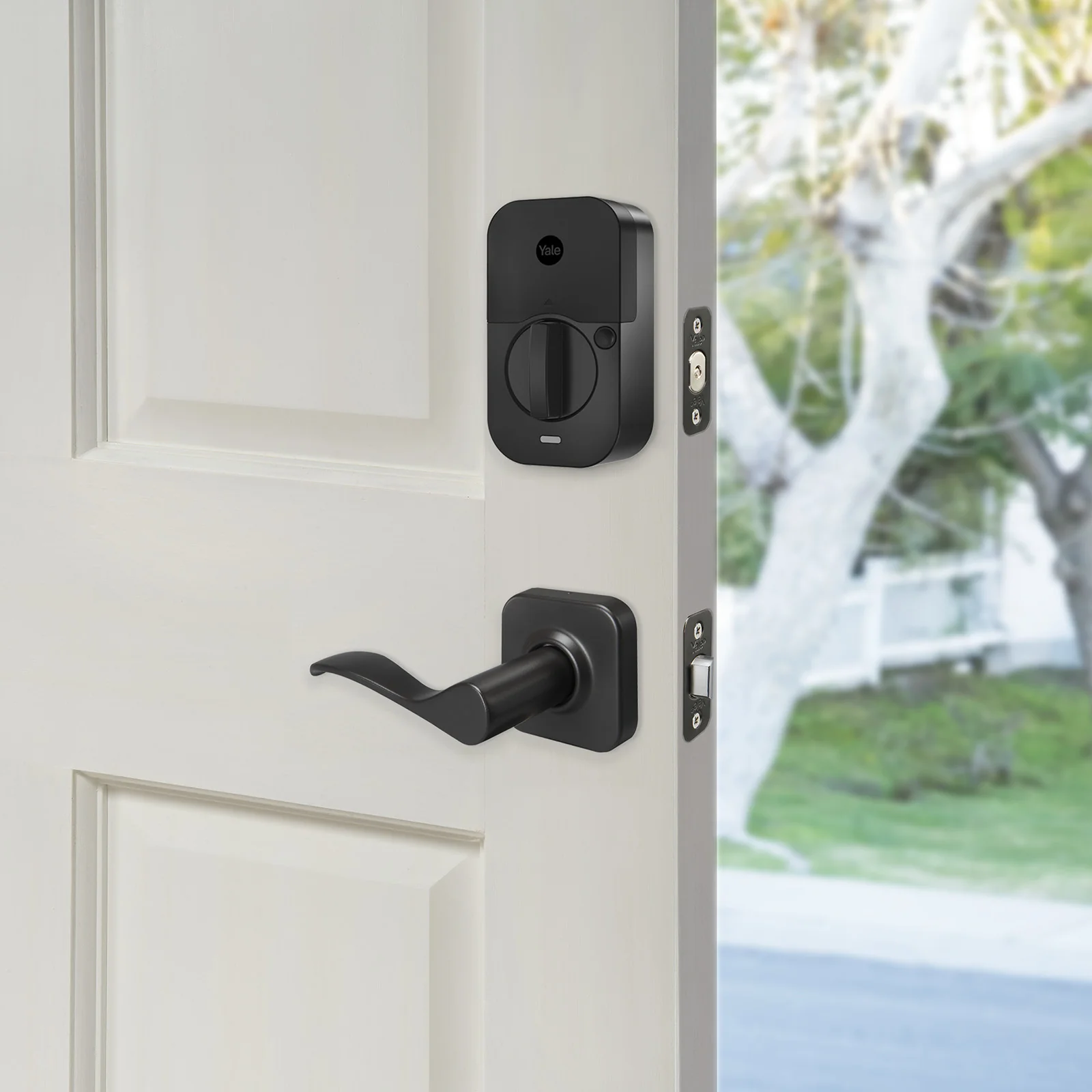 Norwood Passage Lever (Non-Locking) - Image 5