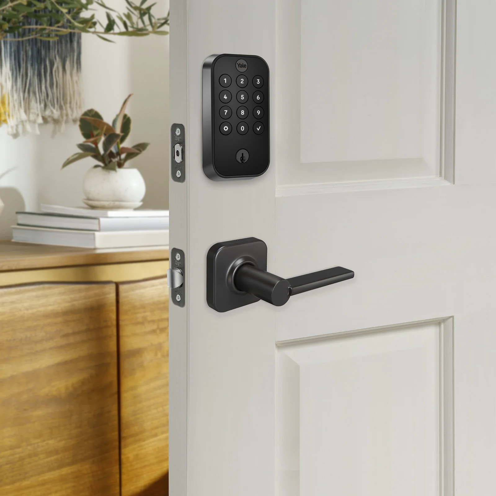 Valdosta Passage Lever (Non-Locking) - Image 5
